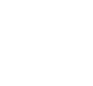 BMI Logo